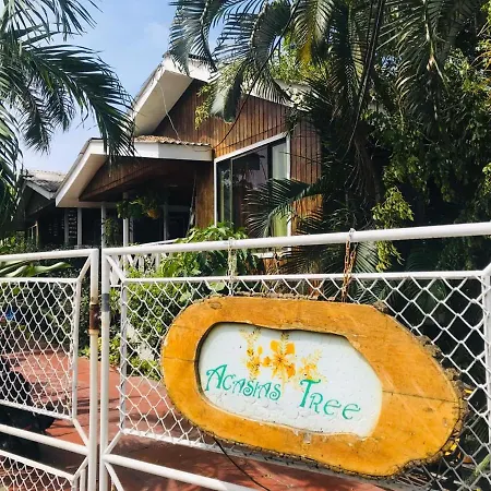 Villa acacias tree-2